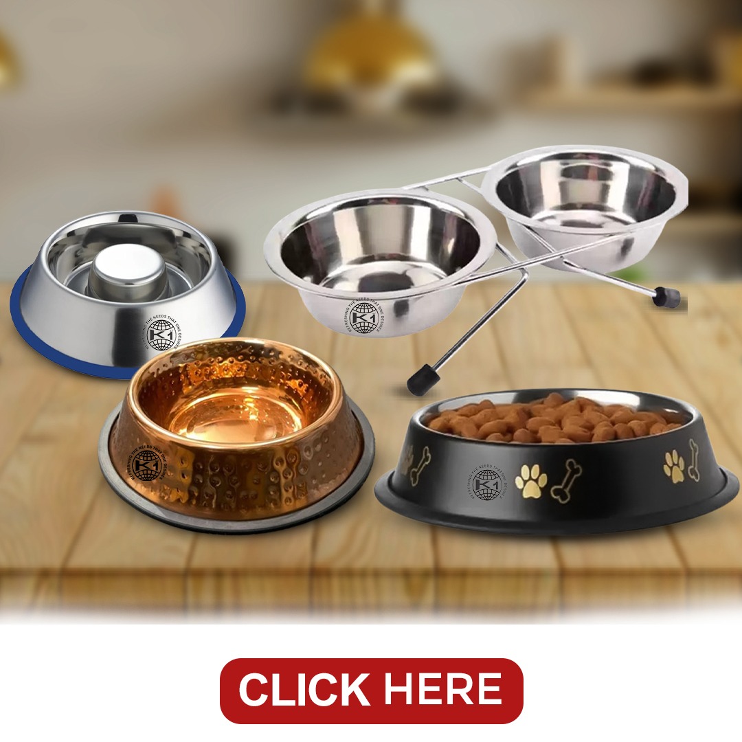 All types range of Dog Bowl