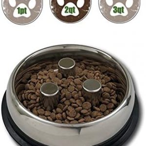 ProSelect Dog Stainless Steel Brake-Fast Slow Feed Bowl 