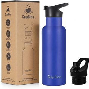 HGDGears Water Bottle 17oz/500ml Double Wall Vacuum Stainless Steel Insulated Travel Mug Leakproof Sports Drinks Bottle with Brush 