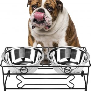 Platinum Pets Modern Triple Diner Feeder with Stainless Steel Cat/Dog Bowls 